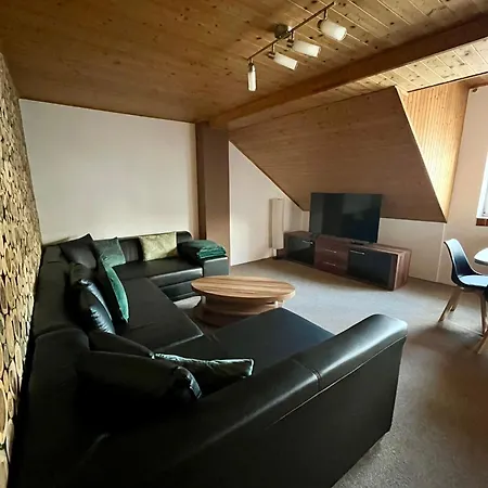 Apartment Mincovni *