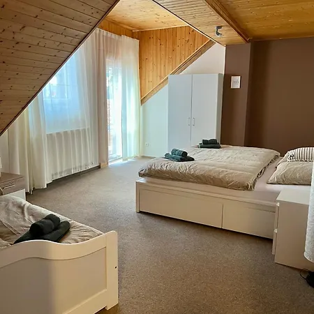 Apartment Mincovni *