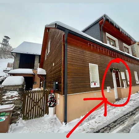 Mincovní *