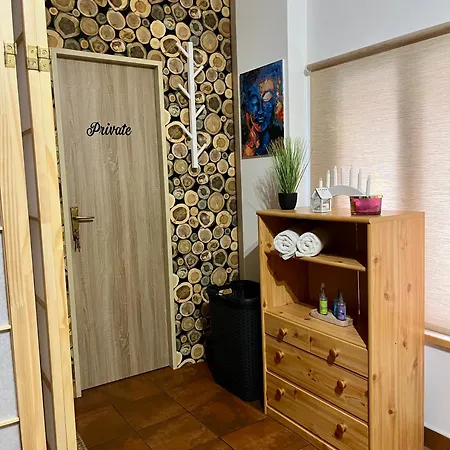 Mincovni 아파트 *