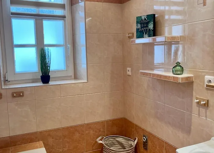 Apartmán Mincovní Jáchymov